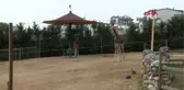 Darıca Hayvanat Bahçesi pandemide ilgi görüyor