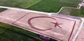 Baba gibi baba! 70 dönümlük tarlada çocuklarının hayalini gerçekleştirdi