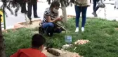 Siirt'te caddede doğum yapan köpeğe vatandaşlar sahip çıktı