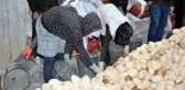 AHLAT'TAN GÜNDE 50 KAMYON PATATES SEVKİYATI