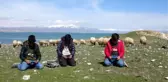HEM ÇOBANLIK YAPIYORLAR HEM DERS ÇALIŞIYORLAR