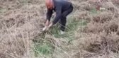 Bağışıklıktan, saç dökülmesine kadar etkili olan 'Gulik'in mesaisi başladı
