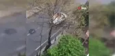 Pendik'te kaybolan papağanını anons ederek sokak sokak aradı