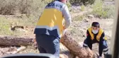 Yolu kapatan kütükleri kaldırıp, hastaya ulaştılar
