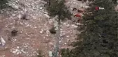 Özgürlüklerine düşkün Yılkı Atları böyle görüntülendi