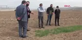 2 bin çeşit arasından 'tescillenecek' buğdaylar çiftçiye sunulacak