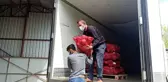 Bafra Ovası'ndan kışlık sebze ihracatı attı