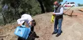 MANİSA YARALI ŞAHİN TEDAVİSİNİN ARDINDAN DOĞAYA SALINDI