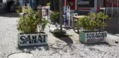 Kanseri yendi, elinde fırçasıyla sokak sokak dolaşıyor