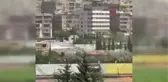 Şam'da çekirge istilası