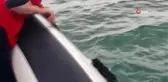 Yaralı Caretta caretta için İzmir İtfaiyesi zamanla yarıştı