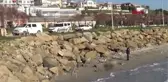 GEMİDEN DÜŞEN HİNTLİ GEMİCİNİN CANSIZ BEDENİNE ULAŞILDI