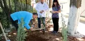 Son dakika haberleri | Göbek bağları hastane bahçesine gömüldü