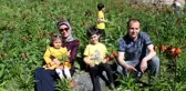 Huzur ortamıyla ters lalelere ilgi arttı
