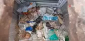 Küçük İsmet kedi yavrularını annelerine kavuşturdu