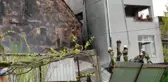 Eyüpsultan'da lastik deposunda yangın (2)
