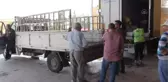 Hatay ve Afrin'deki ihtiyaç sahibi 5 bin aileye 6 ton alabalık dağıtıldı