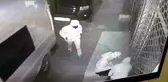 Levye ile kilidi kırdılar, 30 bin TL'lik kıyafeti böyle çaldılar