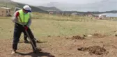 Islah edilen vahşi çöp depolama alanı ağaçlandırılıyor