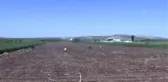 Tarım işçileri 1 Mayıs Emek ve Dayanışma Günü'nde de üretime katkı sağlıyor