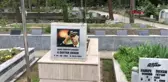 Son dakika haberi... SPOR Diyarbekirspor, şampiyonluk kupasını Şehit Gaffar Okkan'ın mezarına götürdü