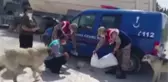 Tam kapanmada sokak hayvanları unutulmadı