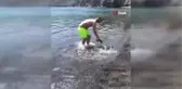 Antalya'da turistlerin yarım metrelik balon balığı heyecanı