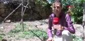 DİYARBAKIR KULUÇKAYA TAVUK YERİNE OTURAN HOROZ, CİVCİVLERE ANNELİK YAPIYOR