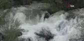 Muradiye Şelalesi bahar güzelliği ile göz kamaştırıyor