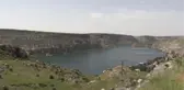 ŞANLIURFA - Halfeti'nin tescilli karagülünde hasat zamanı