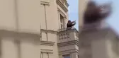 Almanya'da sosyal medyada üne kavuşan Ayşe Şaşmaz yaşadıklarını anlattı