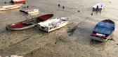 Beyaza bürünen körfezde balıklar tek tek ölmeye başladı
