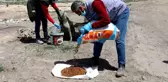 Kısıtlamada can dostlar unutulmadı