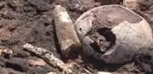 Ordu'da dinazorlar çağına ait fosillerin bulunduğu iddia edildi