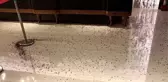 Restorana hamam böcekleriyle saldırı düzenlediler