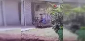 Son dakika haberi... Küçük çocuğun bisikletini çocuklar çaldı