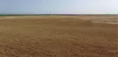 ŞANLIURFA - 