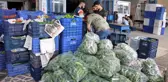 Tam kapanmada haller ile marketler arasındaki fiyat farkı yüzde 1250'ye kadar çıkıyor