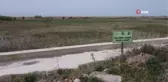 Bir zamanlar göldü, şimdi hayvanlar otluyor