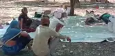 Hindistan'da Covid-19 hastaları portakal bahçelerinde tedavi görüyor