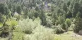 Son dakika gündem: KAHRAMANMARAŞ - Turkuaz renkli göl turizme kazandırılacak