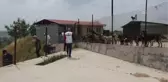 Ölen kedisini defnetmek için Gaziantep'den Osmaniye'ye getirdi