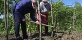 Vali Sonel, ot biçti, fındığa ilaç attı, toprağa tohum dikti