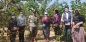Silifke'de hasadı yapılan karadut, üreticinin yüzünü güldürüyor