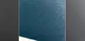 KASTAMONU - Karadeniz'de yunusların tekneyle yarışı cep telefonu kamerasıyla görüntülendi