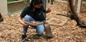 Kapanmayı fırsat bilip park içerisinde özgürce dolaşıyorlar