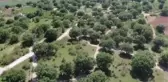 KIRKLARELİ - Tam kapanma sürecinde kuralları ihlal edenler drone ile yakalanıyor