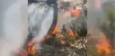 Kısıtlamada mangal yakan 3 kişi 5 hektar ormanı kül etti