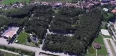 Boş kalan parkta yaşayan sincaplar sakinliğin keyfini çıkardı
