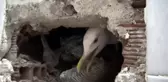 EV SAHİBİ DUVARI DELDİRMEDİ, FAYANS SÖKÜLEREK KURTARILDI